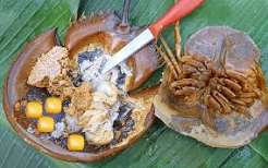Ảnh minh họa 1: Ăn gì ở Hạ Long? Ghé Ăn Vặt Hải Trang để thử quán ăn vặt trong khu Hà Lầm