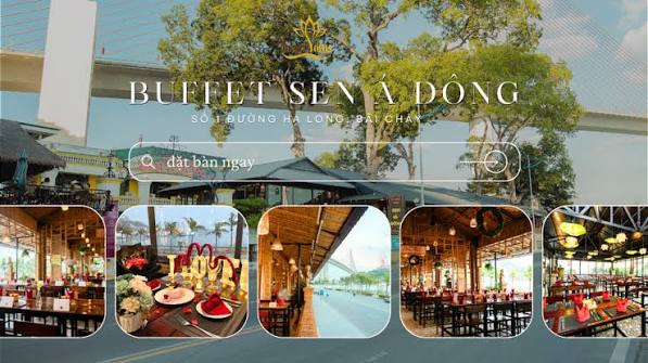 Ảnh minh họa 3: Buffet Sen Á Đông Hạ Long: địa chỉ, món nên thử và kinh nghiệm đi ăn