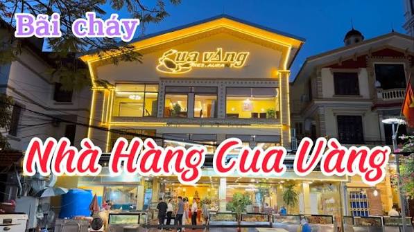 Ảnh minh họa 6: Vi Vu cùng Hoàn gợi ý Nhà hàng Cua Vàng: ăn gì, đi thế nào?