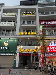 Ảnh minh họa 1: Ốc Gật Gù Hạ Long: địa chỉ, món nên thử và kinh nghiệm đi ăn