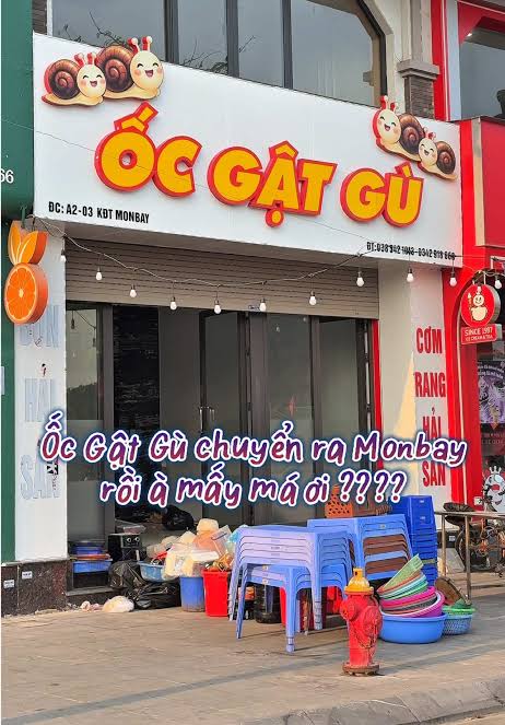 Ảnh minh họa 2: Ốc Gật Gù Hạ Long: địa chỉ, món nên thử và kinh nghiệm đi ăn