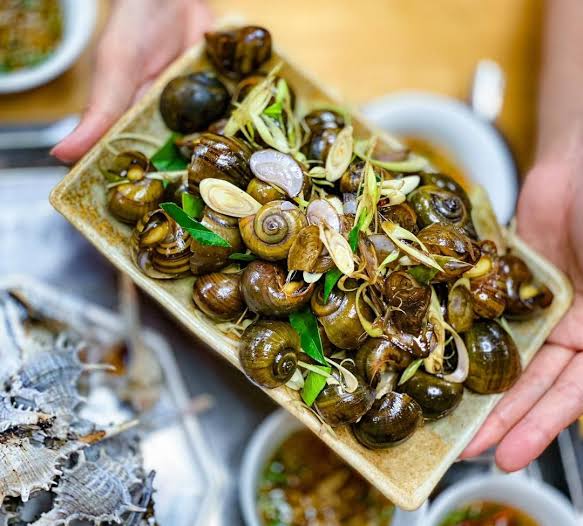 Ảnh minh họa 5: Ốc Gật Gù Hạ Long: địa chỉ, món nên thử và kinh nghiệm đi ăn