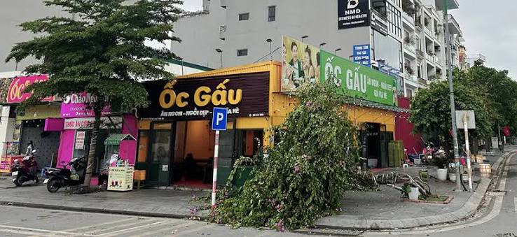 Ảnh minh họa 2: Review Ốc Gấu: gợi ý gọi món và lịch trình thuận tiện