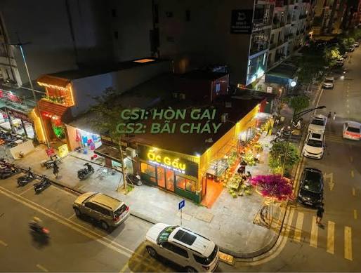 Ảnh minh họa 4: Review Ốc Gấu: gợi ý gọi món và lịch trình thuận tiện