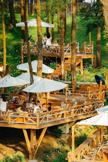Ảnh minh họa 2: Tổ Cafe Hạ Long: địa chỉ, món nên thử và kinh nghiệm đi ăn