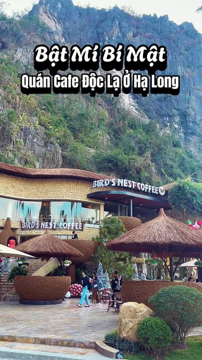 Ảnh minh họa 5: Tổ Cafe Hạ Long: địa chỉ, món nên thử và kinh nghiệm đi ăn