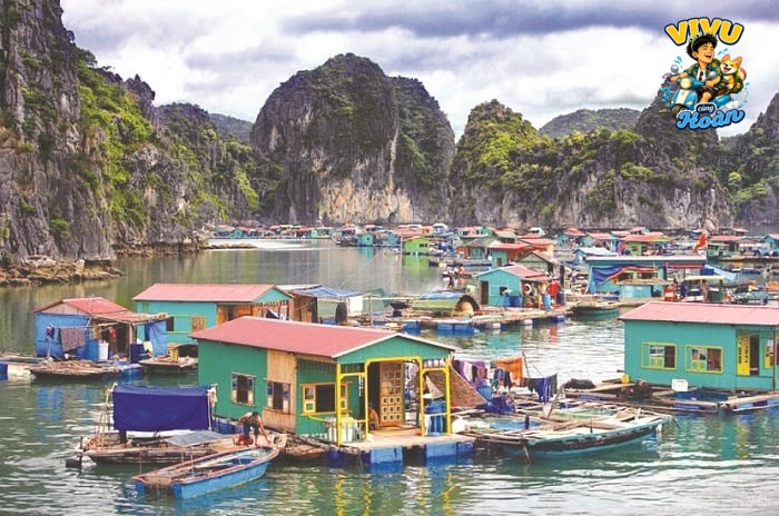 Review Ẩm Thực Làng Chài Hạ Long: gợi ý gọi món và lịch trình thuận tiện