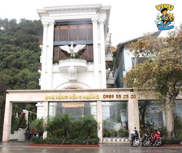 Nhà hàng Hồng Hạnh 3 có gì đáng thử? Cẩm nang ăn uống tại Hạ Long