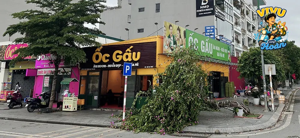 Review Ốc Gấu: gợi ý gọi món và lịch trình thuận tiện