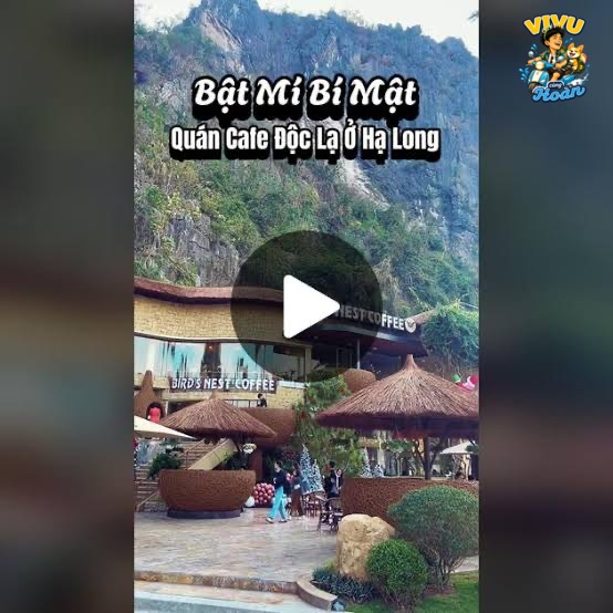 Tổ Cafe Hạ Long: địa chỉ, món nên thử và kinh nghiệm đi ăn